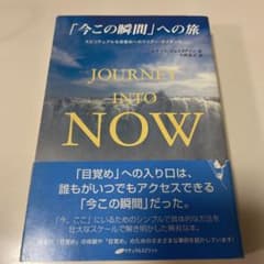 「今この瞬間」への旅 : スピリチュアルな目覚めへのクリアー・ガイダンスのサムネイル