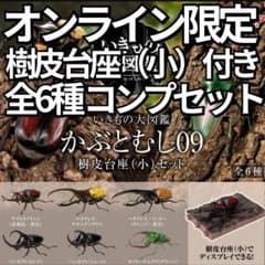 オンライン限定 いきもの大図鑑 かぶとむし09 樹皮台座（小）付き