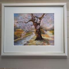 桜　パステル画 　額、マット付き　風景画　原画　絵画　春 桜 パステル画 額、マット付き 風景画 原画 絵画 春 - メルカリ