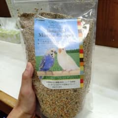 KOJIMA Botanical Miscela Europeo 800gのサムネイル