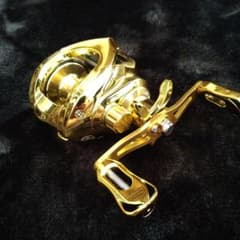 m57722331364_1.jpg?1720050340