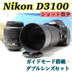 ショット数少✨Nikon D3100 スマホ転送 一眼レフ ガイドモード搭載