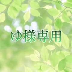 【ゆ様専用】にじさんじ FANTASIA 加賀美ハヤト ブロマイド セットのサムネイル