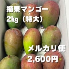 摘果マンゴー 箱込み2kg 特大 (1玉約200g以上) - メルカリ