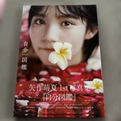矢作萌夏 1st写真集 自分図鑑 AKB48 白水社 - メルカリ