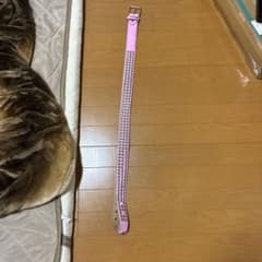 ピンク スタッズベルト メンズのサムネイル