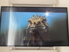 TOSHIBA 東芝  4K 液晶 REGZA 43G20X Netflix搭載のサムネイル
