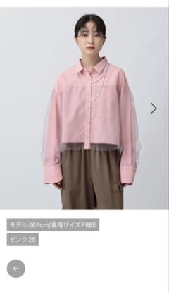 LOWRYSFARM チュールレイヤーストライプシャツのサムネイル