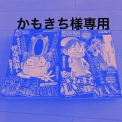 ぷち　本当にあった愉快な話　心霊MAX 2冊セットのサムネイル