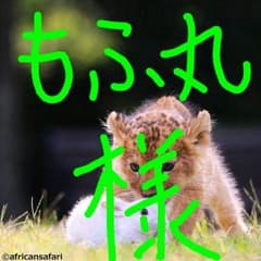もふ丸様 ご専用 ドキンちゃん ロールパンナ チーズのサムネイル