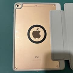 Apple iPad mini 第5世代 256GB ゴールド セルラーモデル - メルカリ