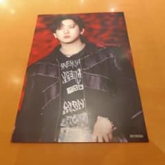 straykids Blu-ray タワレコ渋谷 特典 24枚 フライヤー straykids チャンビン Blu-ray タワレコ 渋谷 特典 フライヤー - メルカリ
