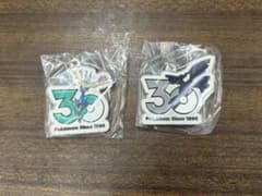 ポケモン 30周年記念 メタルチャーム 2個セットのサムネイル