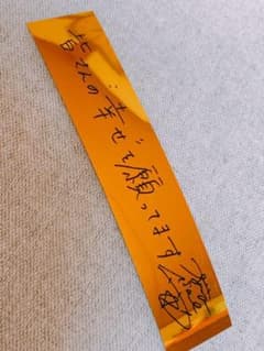 【最初にしっかりとプロフ必読様専用】のサムネイル