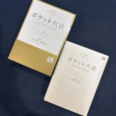 ポケット六法 令和7年版のサムネイル