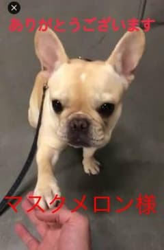 【新品 未使用】ハンカチ ROCHASのサムネイル