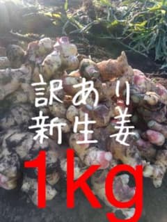 茨城県産 新生姜1kgのサムネイル
