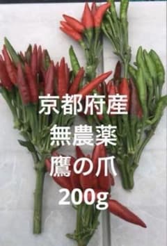 京都府産　無農薬　鷹の爪　唐辛子　生　200gのサムネイル