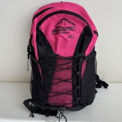 Mizuno ピンク リュック 2013年マラソンデザインのサムネイル