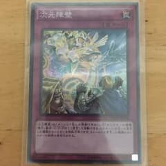 次元障壁 即購入okのサムネイル