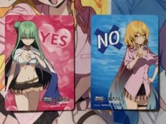 ヴァイスシュヴァルツロゼ ぬきたし YES NO カードのサムネイル