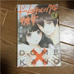 ドメスティックな彼女 袋とじ未開封のサムネイル