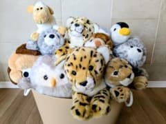 動物 ぬいぐるみ チーター フクロウ カワウソ アザラシ ペンギン