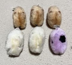 S*U님 카피바라씨 치비후와 마스코트 7개