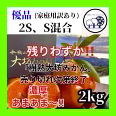 ⑤温州みかん 樹熟大坊みかん 優品(家庭用傷あり)2S、Sサイズ2kg