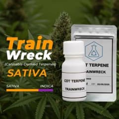 CDT TRAIN WRECK (カンナビス由来テルペン) 2ml - メルカリ