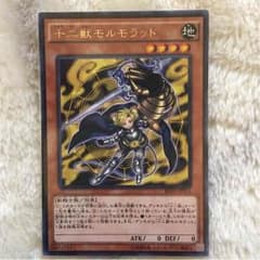 十二獣モルモラットのサムネイル