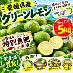 プ*レ様 愛媛県産　グリーンレモン　５キロのサムネイル