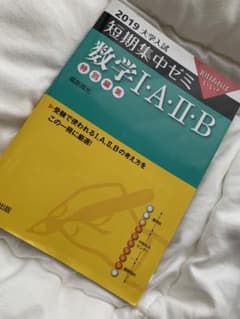 大学入試短期集中ゼミ数学1・A・2・B 2019のサムネイル