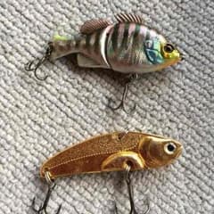 ベビーギロンとメタルバイブのサムネイル