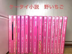 野いちご小説まとめ売り　　バラ売り可能 m57754861753_1.jpg?1675553587