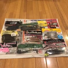 バス用ワーム引退品   値引き大歓迎のサムネイル