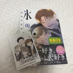 氷の城壁 13巻 TSUTAYA 蔦屋書店 特典付 - メルカリ