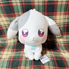 わんだふるぷりきゅあ！ めちゃもふぐっとぬいぐるみ  大福のサムネイル
