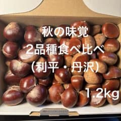 秋の味覚「生栗（利平栗・丹沢栗）」詰め合わせのサムネイル