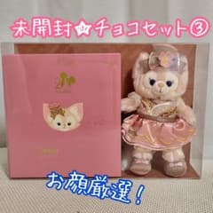 新品】香港ディズニー リーナベル GODIVA 20周年記念限定 ぬいぐるみ③