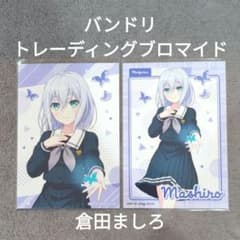 m57765237629_1.jpg?1724250754