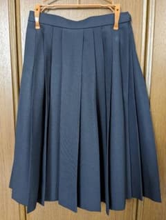 制服　スカートのサムネイル