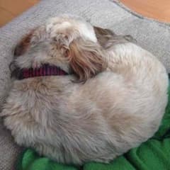 あっきー専用のサムネイル