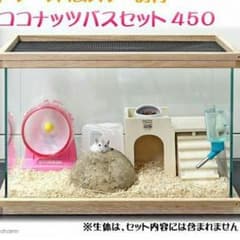 ひより様専用ページのサムネイル