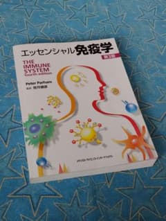 エッセンシャル免疫学　THE IMMUNE SYSTEM 第3版 エッセンシャル免疫学 第3版 メディカ・サイエンス