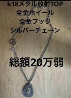 アリゾナフリーダム　ネックレスのサムネイル