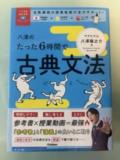 八澤のたった6時間で古典文法のサムネイル