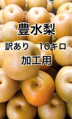 豊水梨 訳あり 10キロ 加工用　家庭用のサムネイル