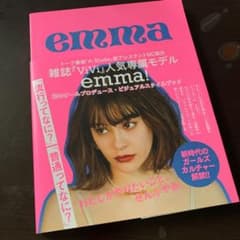 emma ビジュアルスタイルブックのサムネイル