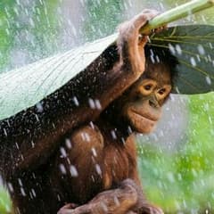 めぐさん専用☆☆☆のサムネイル